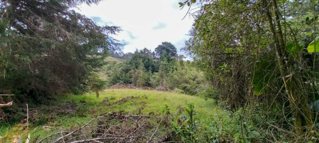 Lote en venta en Pantanillo, El Retiro · foto 14 de 14