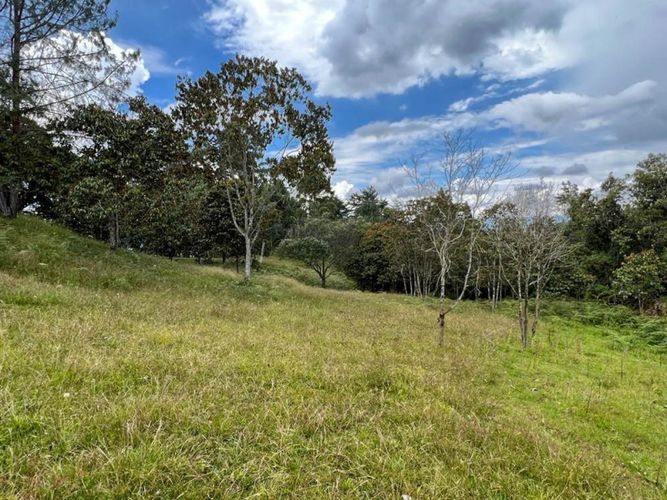 Lote en venta en El Porvenir, Rionegro · foto 4 de 22