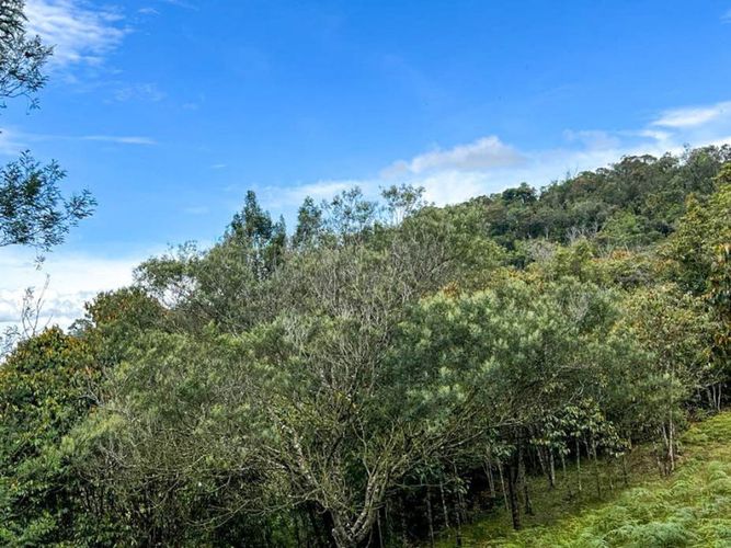 Lote en venta en El Porvenir, Rionegro · foto 6 de 22