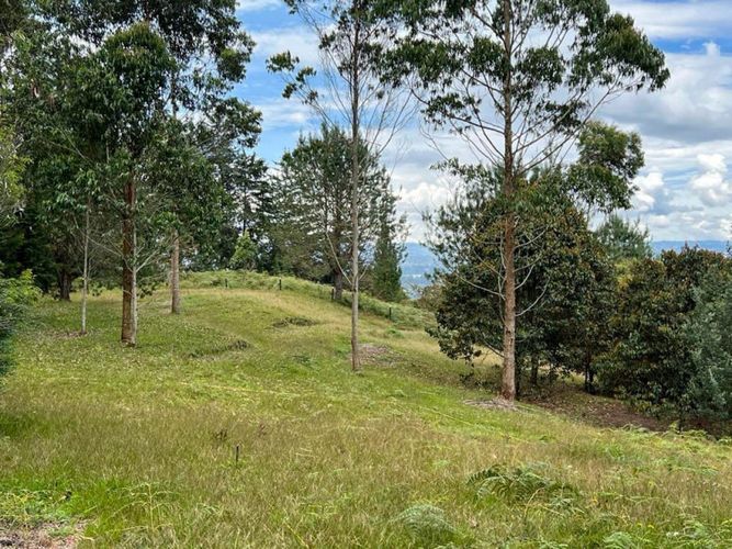 Lote en venta en El Porvenir, Rionegro · foto 7 de 22