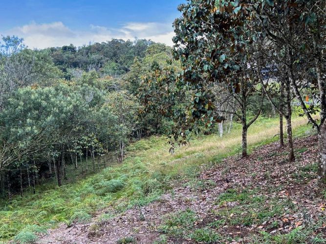 Lote en venta en El Porvenir, Rionegro · foto 8 de 22