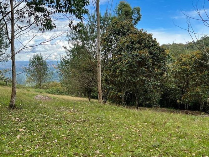 Lote en venta en El Porvenir, Rionegro · foto 9 de 22