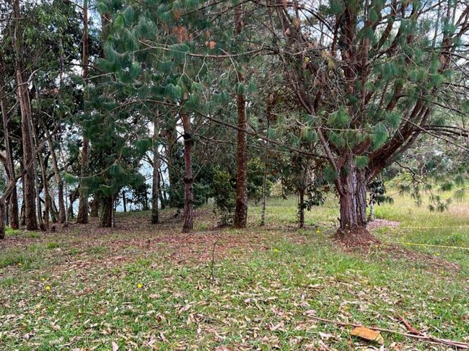 Lote en venta en El Porvenir, Rionegro · foto 11 de 22