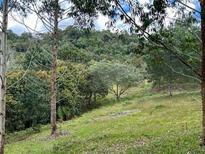 Lote en venta en El Porvenir, Rionegro · foto 13 de 22