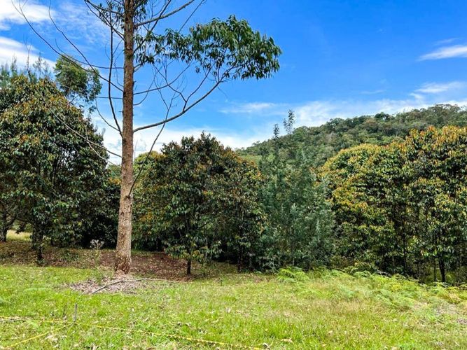 Lote en venta en El Porvenir, Rionegro · foto 20 de 22