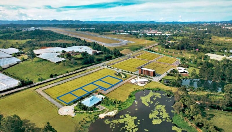Lote en venta en Llano Grande, Rionegro · foto 8 de 12