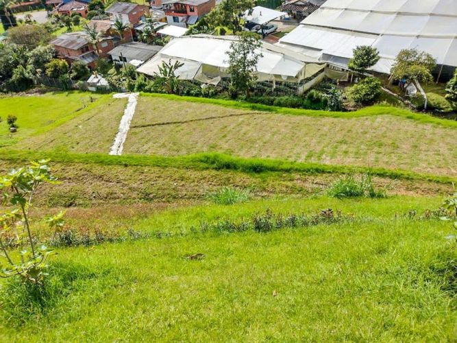 Lote en venta en Fatima, La Ceja · foto 5 de 9