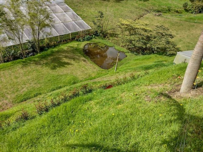 Lote en venta en Fatima, La Ceja · foto 6 de 9