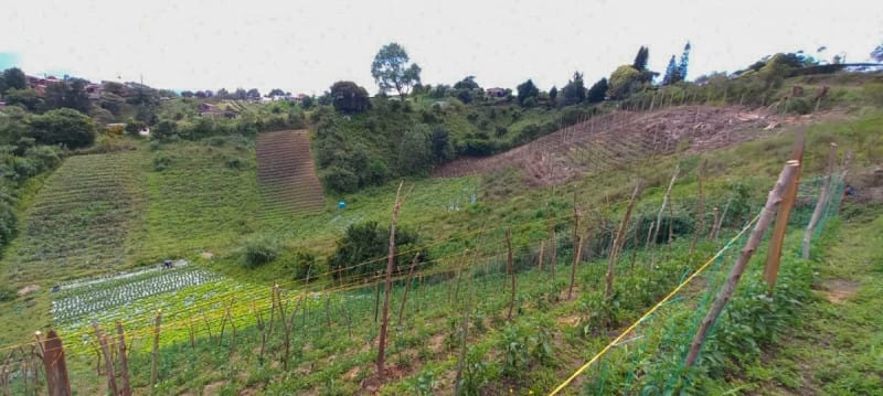 Lote en venta en El Porvenir, Rionegro · foto 13 de 19