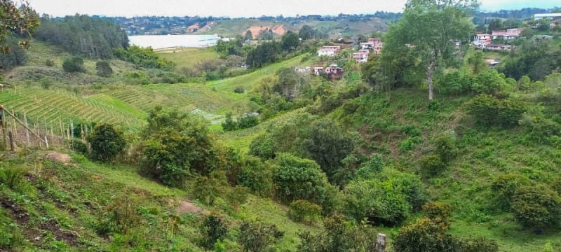 Lote en venta en El Porvenir, Rionegro · foto 15 de 19
