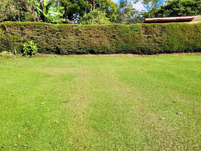 Lote en venta en Fatima, La Ceja · foto 7 de 15