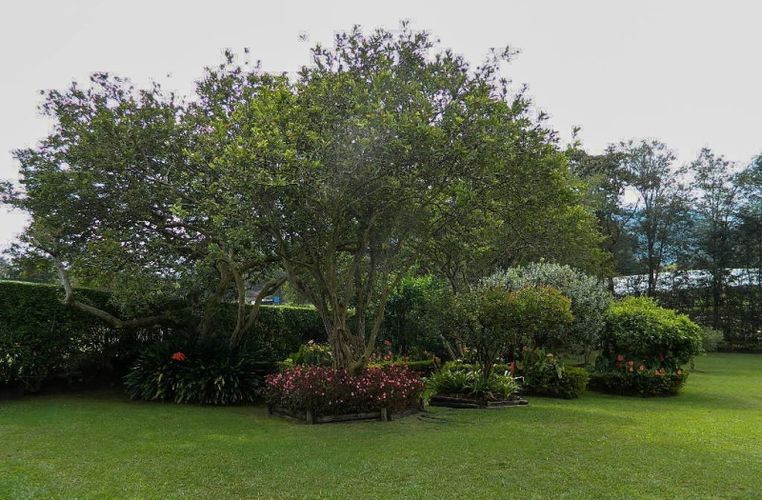 Finca en venta en Pontezuela, Rionegro, 292 m² · foto 13 de 23
