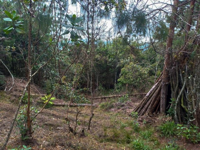 Finca en venta en Santa Elena, Medellín, 100 m² · foto 13 de 20