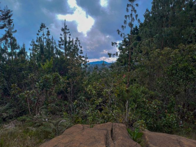 Finca en venta en Santa Elena, Medellín, 100 m² · foto 17 de 20