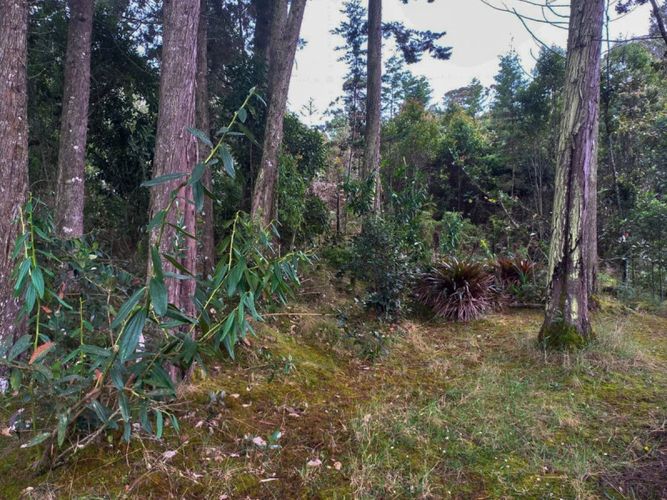 Finca en venta en Santa Elena, Medellín, 100 m² · foto 20 de 20