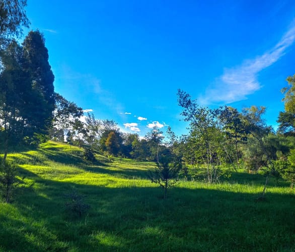 Lote en venta en Vía Las Palmas, Envigado · foto 2 de 5