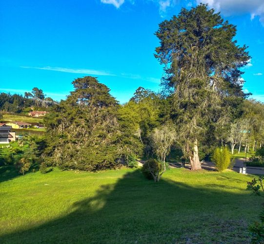 Lote en venta en Vía Las Palmas, Envigado · foto 4 de 5