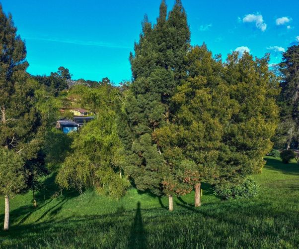 Lote en venta en Vía Las Palmas, Envigado · foto 2 de 7