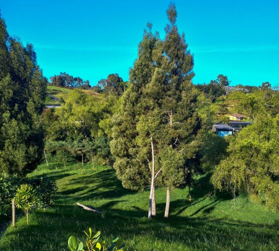 Lote en venta en Vía Las Palmas, Envigado · foto 4 de 7