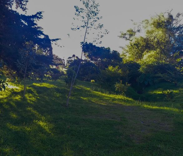Lote en venta en Vía Las Palmas, Envigado · foto 5 de 7
