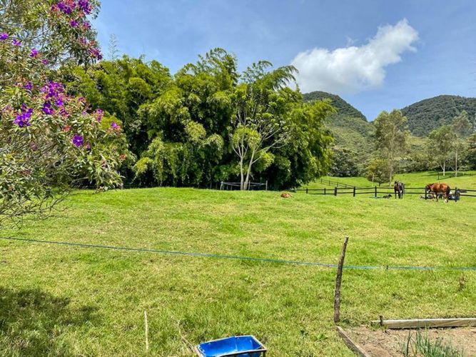 Finca en venta en El Carmen De Viboral, El Carmen de Viboral, 180 m² · foto 18 de 19