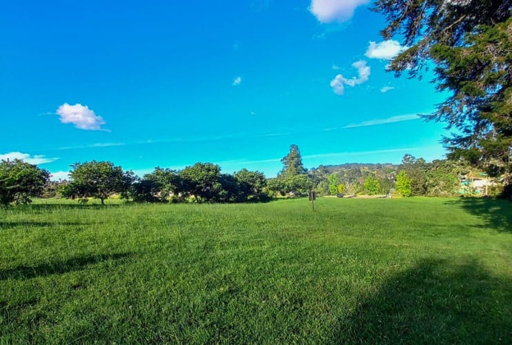 Lote en venta en Vía Las Palmas, Envigado · foto 4 de 4