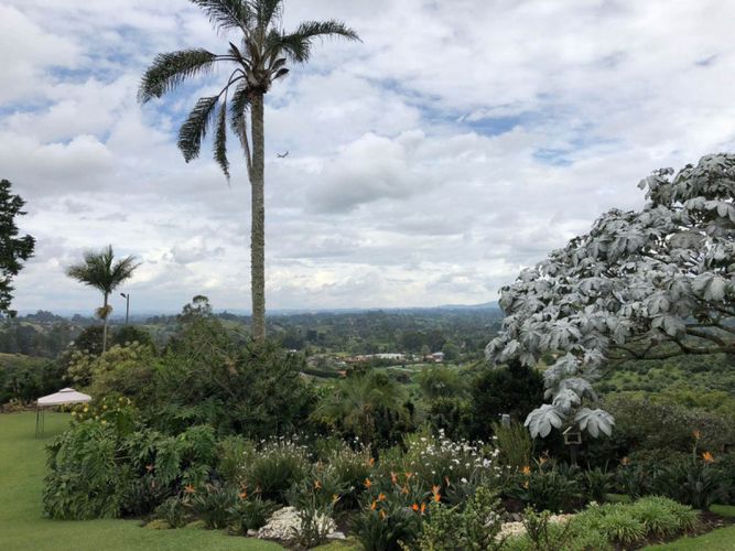 Finca en arriendo en Centro, Rionegro, 11000 m² · foto 12 de 19