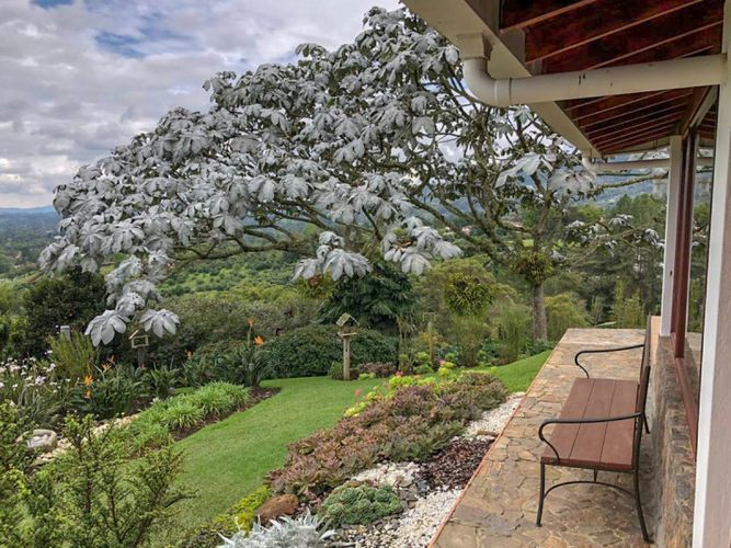 Finca en arriendo en Centro, Rionegro, 11000 m² · foto 13 de 19