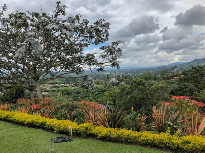 Finca en arriendo en Centro, Rionegro, 11000 m² · foto 18 de 19