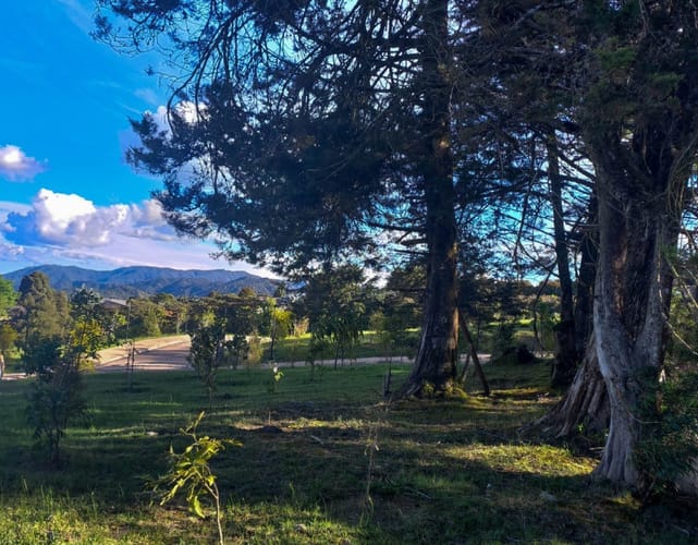 Lote en venta en Vía Las Palmas, Envigado · foto 5 de 5