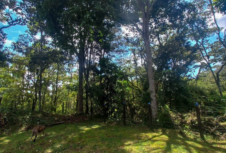 Casa de 3 alcobas en venta en El Carmen De Viboral, El Carmen de Viboral, 90 m² · foto 22 de 23