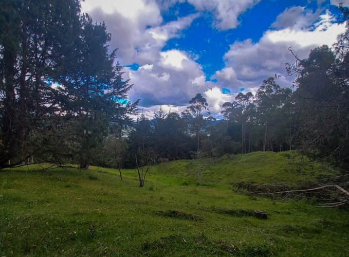 Lote en venta en Fatima, La Ceja · foto 3 de 12