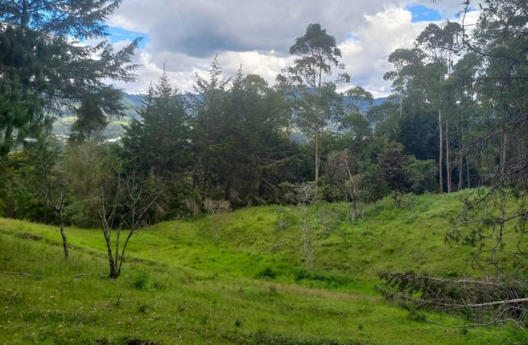 Lote en venta en Fatima, La Ceja · foto 4 de 12