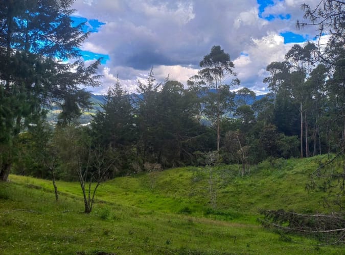 Lote en venta en Fatima, La Ceja · foto 5 de 12