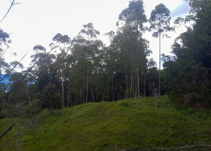 Lote en venta en Fatima, La Ceja · foto 6 de 12