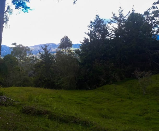 Lote en venta en Fatima, La Ceja · foto 7 de 12