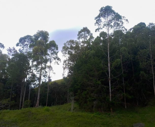 Lote en venta en Fatima, La Ceja · foto 8 de 12