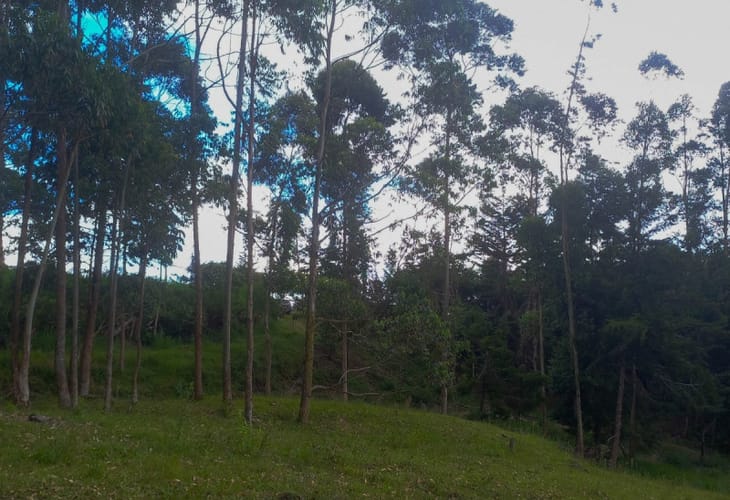 Lote en venta en Fatima, La Ceja · foto 10 de 12