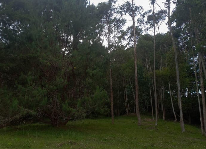 Lote en venta en Fatima, La Ceja · foto 11 de 12