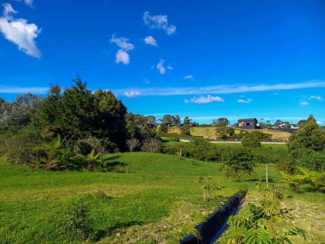 Lote en venta en Vía Las Palmas, Envigado · foto 3 de 4