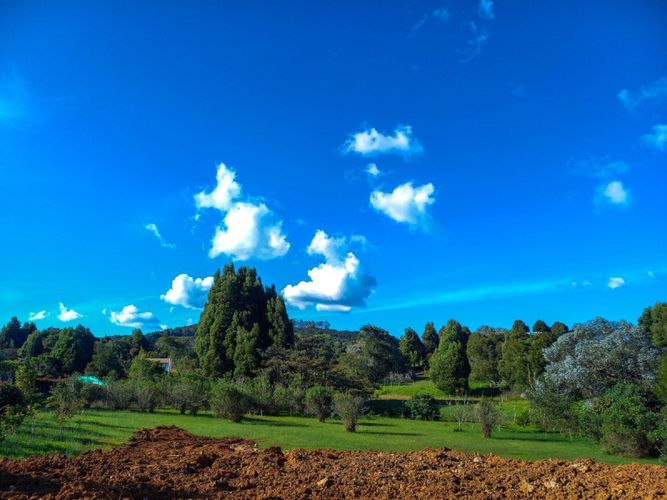 Lote en venta en Vía Las Palmas, Envigado · foto 4 de 4