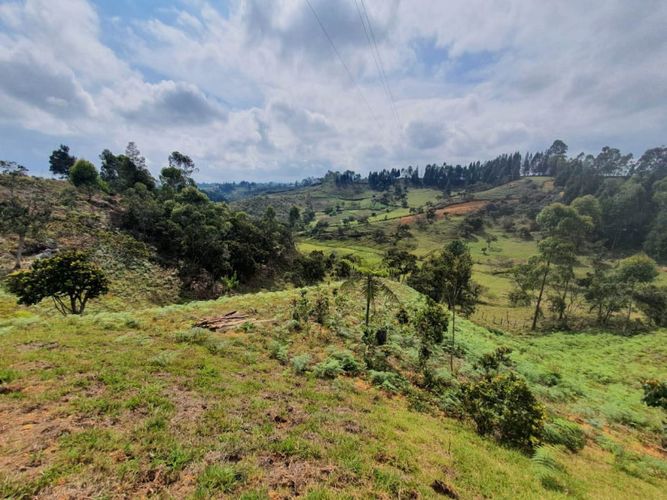 Lote en venta en Guarne · foto 2 de 10