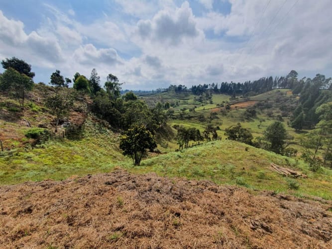 Lote en venta en Guarne · foto 3 de 10