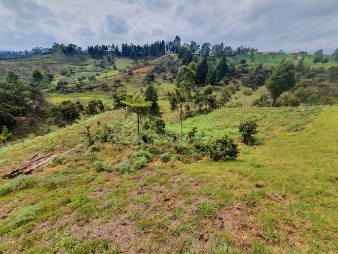 Lote en venta en Guarne · foto 6 de 10