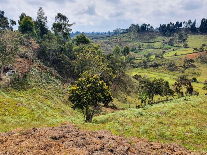 Lote en venta en Guarne · foto 7 de 10