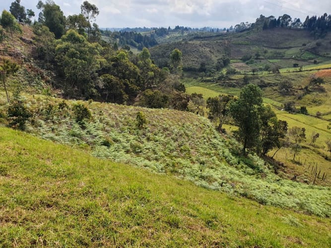 Lote en venta en Guarne · foto 8 de 10