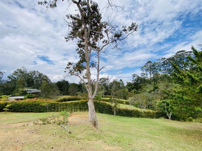 Lote en venta en El Capiro, Rionegro · foto 3 de 8