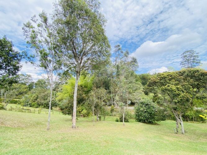 Lote en venta en El Capiro, Rionegro · foto 6 de 8