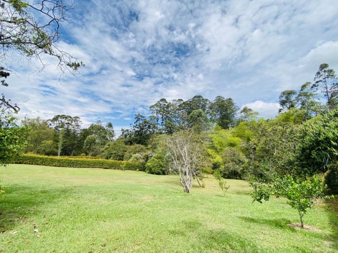 Lote en venta en El Capiro, Rionegro · foto 6 de 15