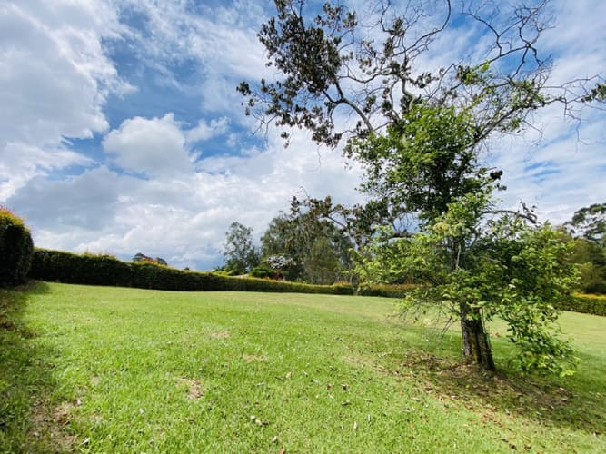 Lote en venta en El Capiro, Rionegro · foto 7 de 15